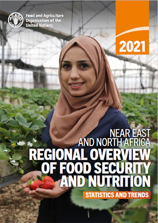 (The cover of the report)