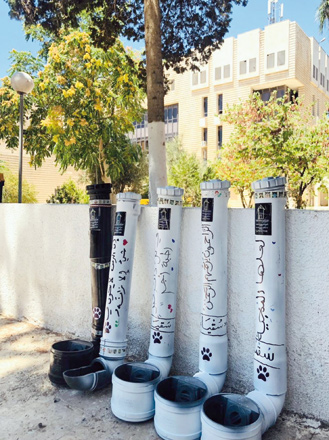 Recycled tubes are installed on the UJ campus for feeding stray cats (Photo courtesy of Rofyda Abu Orabi)