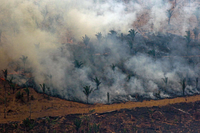 Aerial view showing smoke billowing from a patch of forest being cleared with fire in the surroundings of Boca do Acre, a city in Amazonas State, in the Amazon basin in north-western Brazil, on Saturday (AFP photo)