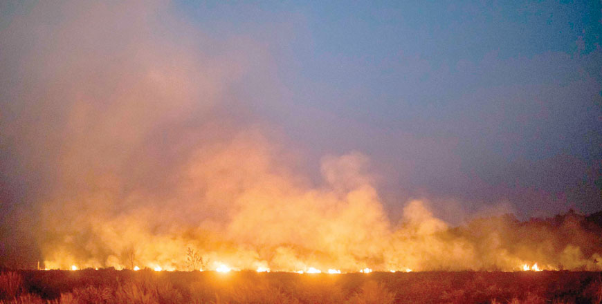 A fire burns out of control after spreading onto a farm along a highway in Nova Santa Helena municipality in northern Mato Grosso State, south in the Amazon basin in Brazil, on Friday (AFP photo)