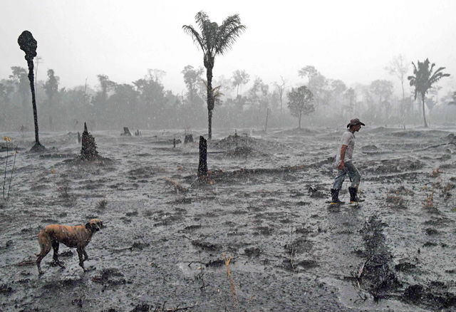 Brazilian farmer Helio Lombardo Do Santos and a dog walk through a burnt area of the Amazon rainforest, near Porto Velho, Rondonia state, Brazil, on Monday (AFP photo)