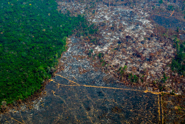 Aerial view of deforestation in Nascentes da Serra do Cachimbo Biological Reserve in Altamira, Para state, Brazil, in the Amazon basin, on Wednesday (AFP photo)