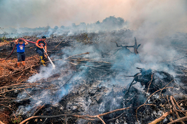 This photo taken on Monday shows Indonesian firefighters battling a forest fire in Kampar, Riau (AFP photo)