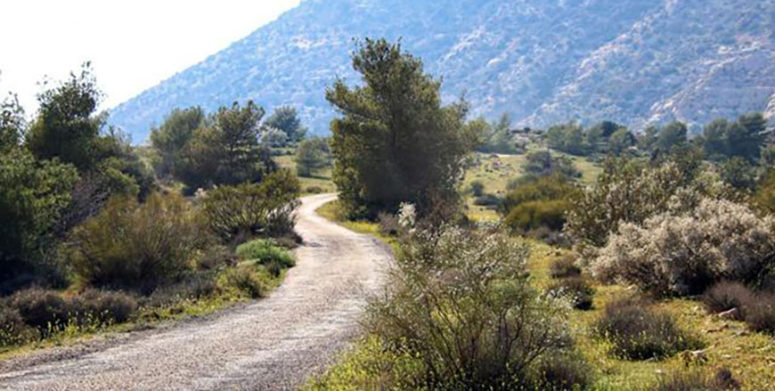 A view of Dana Biosphere Reserve, located in Tafileh Governorate, 180km southwest of the capital (Photo courtesy of Jihad Bdour)