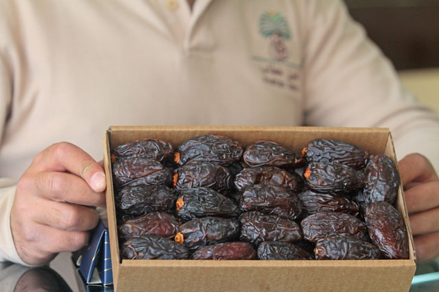 A salesman shows medjool dates in a showroom in Amman recently (Photo by Hassan Tamimi)