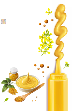 Photo courtesy of Family Flavours magazine