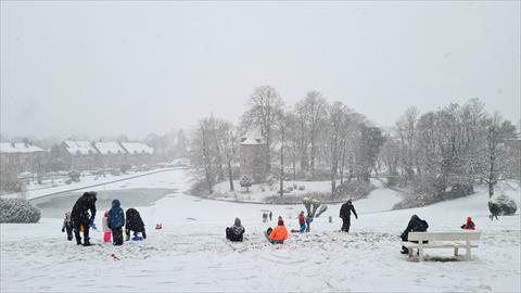 People play on sleds in a park in Dilbeek, near Brussels, on Wednesday (AFP photo)