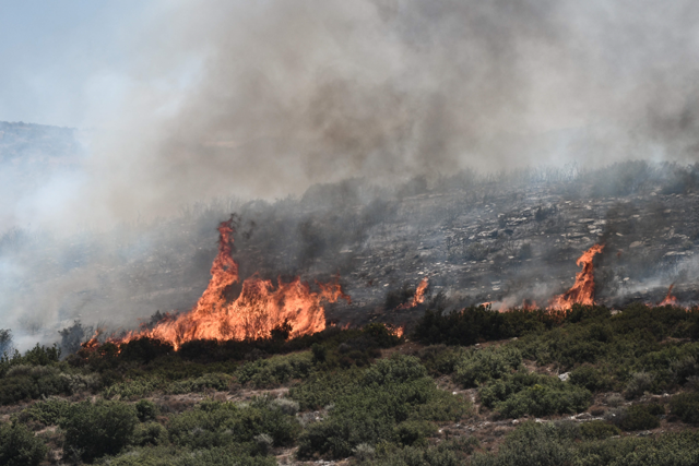 A photo shows burning vegetation during a wildfire near the city of Volos, central Greece, on Thursday (AFP photo)