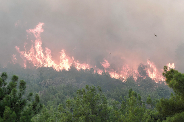 This photograph taken on Saturday shows a wildfire spreading near the village of Lefkimmi, near Alexandroupoli, northern Greece (AFP photo)