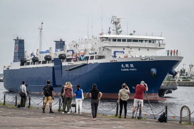 Japan’s new whaling mother ship, the Kangei Maru, arrives at Ariake pier in Tokyo on May 23 (AFP photo)  