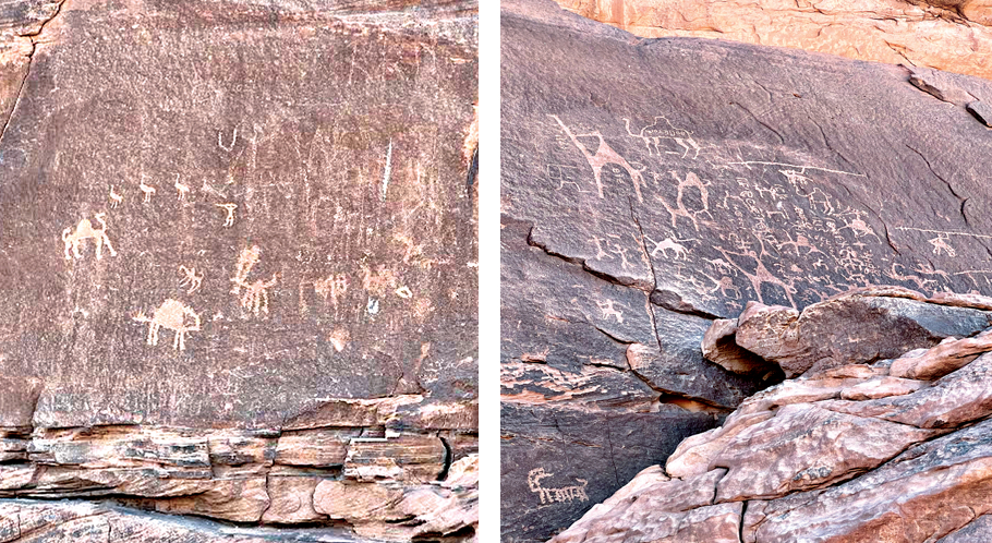 Camels depicted northward in the Alameleh area (Photos by Sophie Constantin)