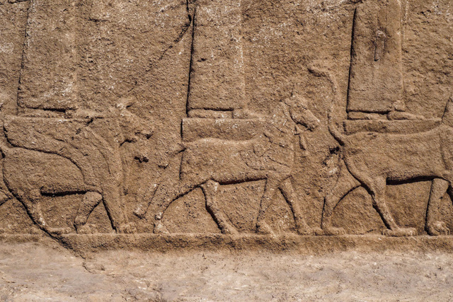 An undated handout photo provided by Terra Di Ninive on Sunday, shows a view of carvings discovered on the walls of an ancient irrigation canal by a team of Kurdish and Italian archaeologists near Faydeh in the Nineveh area of northern Iraq (AFP photo)