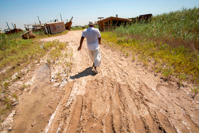 An Iraqi farmer walks in his land in Iraq’s southern port city of al-Faw, 90 kilometres south of Basra near the Shatt Al Arab and the Gulf on August 17 (AFP photo)