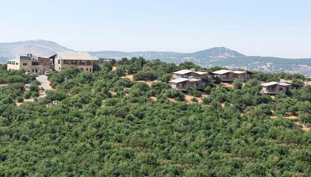 A view of Ajloun Forest Reserve (Photo courtesy of RSCN) 