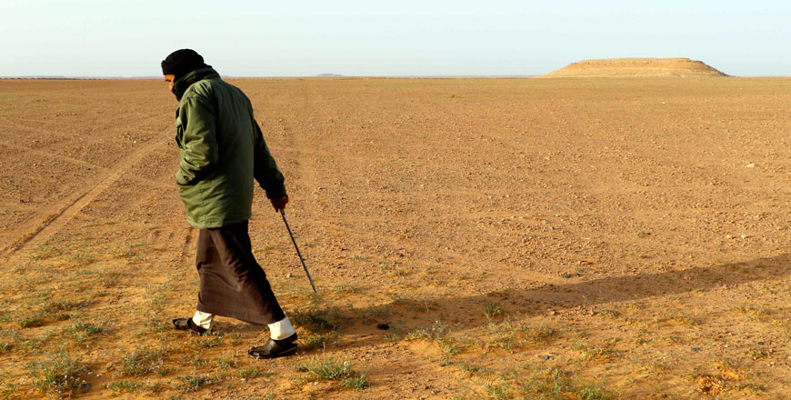 Milad Mohamad, a Truffle hunter, searches for white truffles, known locally as ‘Terfas’, in Al Hamada Al Hamra Desert, in Libya's western Nalut province, on February 22 (AFP photo)