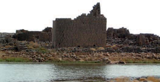 Burqu Reserve, located some 200 kilometres east of Amman, in Mafraq (Petra file photo)