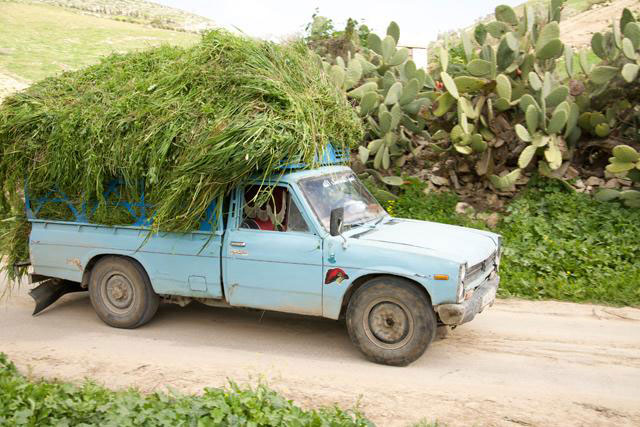 Farmers have been significantly hit with production cost increases, according to a stakeholder (File photo)
