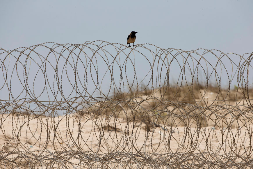 A crow sits on a barbed wire fence on the Mediterranean Sea beach front near Kibbutz Zikim, on the Israel-Gaza border, Thursday, where Israeli Avraham Mangisto ‘independently’ crossed the border fence into the Gaza Strip on September 7 last year (AP photo)