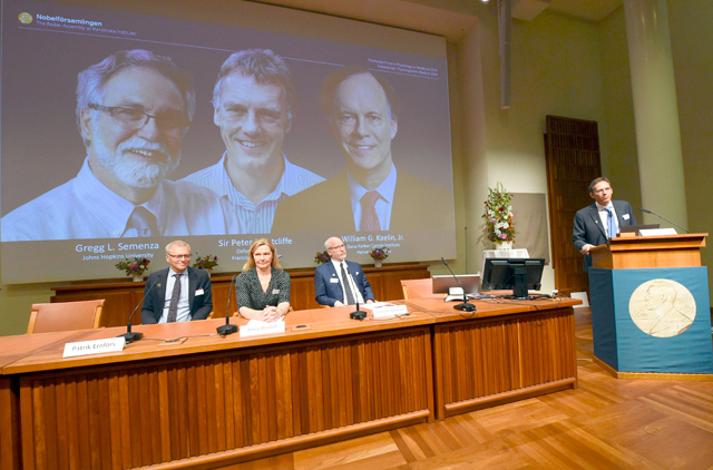 Nobel Assembly members ( from left to right) Patrik Ernfors, Anna Wedell and Randall Johnson sit in front of a screen displaying the winners of the 2019 Nobel Prize in Physiology or Medicine (from left to right) Gregg Semenza, Peter Ratcliffe and William Kaelin as their names are announced by Thomas Perlmann (right), the secretary of the Nobel Committee, during a press conference at the Karolinska Institute in Stockholm, Sweden, on Monday (AFP photo)