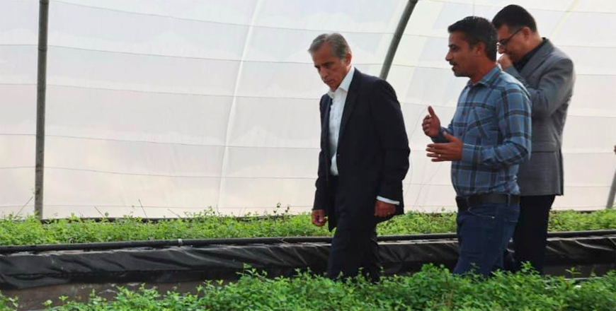 At Faisal Az Zoubi Plantation, Prime Minister Jafar Hassan, accompanied by Minister of Agriculture Khaled Hneifat, commends the nursery’s efforts in producing fruit-bearing and forest trees for farmers and national reforestation initiatives (Petra photo) 