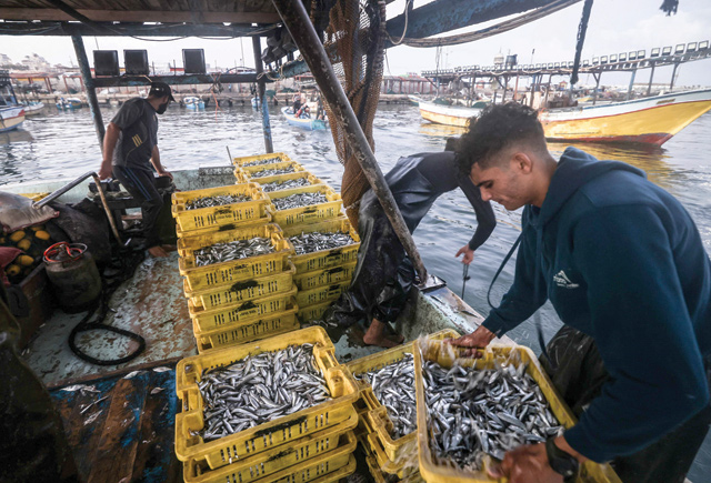 Palestinian fishermen unload their catch off the coastline of Gaza City, on Friday (AFP photo)