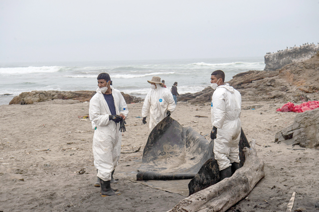 Employees work in the cleanup of the shore of Cavero Beach, affected by an oil spill involving Spanish energy giant Repsol, in Pachacutec, an area on the northern outskirts of Lima, on Thursday (AFP photo)
