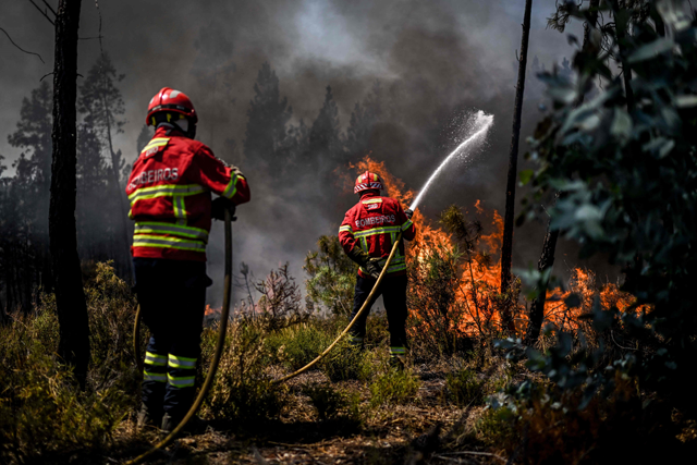 Firefighters battle a wildfire in Carrascal, Proenca a Nova, on Sunday (AFP photo)