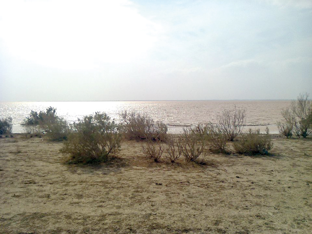 Al Qaa is a 62-kilometre seasonal lake that forms during the winter when rainwater from the mountains of Jordan, Saudi Arabia and Syria flows to the lowest part of the Azraq basin (Photo courtesy of Hazem Hreisha)