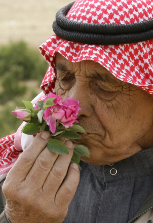 A Syrian man smells a damask rose (Rosa Damascena), which is used to make rose water in the village of Marah, north of the capital Damascus, last week (AFP photo)
