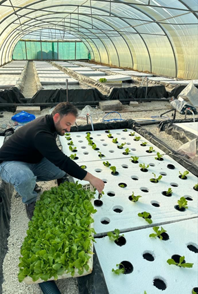 Muthana Mohasen, a hydroponic farmer, says hydroponics and aquaponics stand as the most sustainable and climate-resilient agricultural methods (Photo courtesy of Muthana Mohasen)