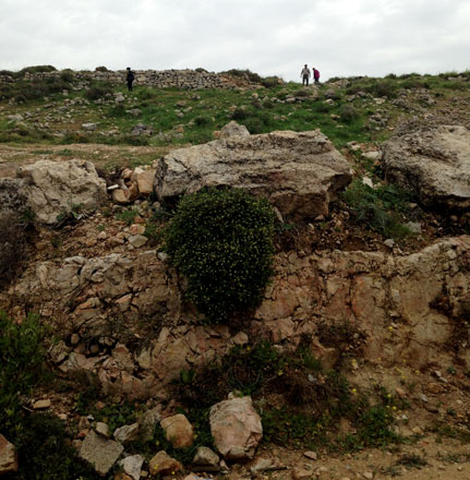 Tell En Nasbeh, located 12 kilometres northwest of Jerusalem (Photo courtesy of Aaron Brody)