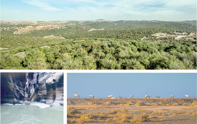 The Royal Society for the Conservation of Nature’s newly launched campaign ‘Travel inside your country’ includes a 25-per-cent discount on all reserve visits and overnight facilities (Photos courtesy of RSCN)
