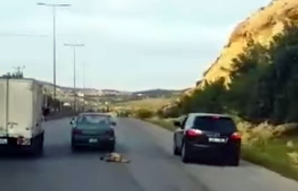 A grab from a video that went viral on social media Wednesday showing a motorist tying a dog and dragging him with his car on the Amman-Irbid Highway
