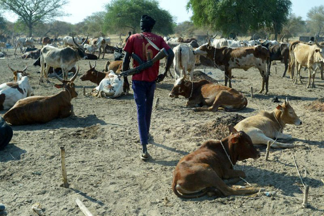 Instead of their traditional spears, cowherds now carry automatic rifles that have transformed cattle raids, a generations-old phenomenon, into massacres  (AFP photo)