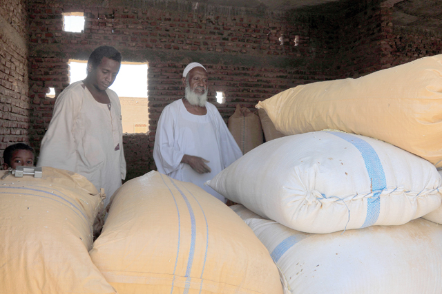 Sudanese farmer Modawi Ahmed (centre) is pictured inside his granary in the village of Al Laota, about 70 kilometres southwest of the capital Khartoum, on May 28, 2022 (AFP photo)