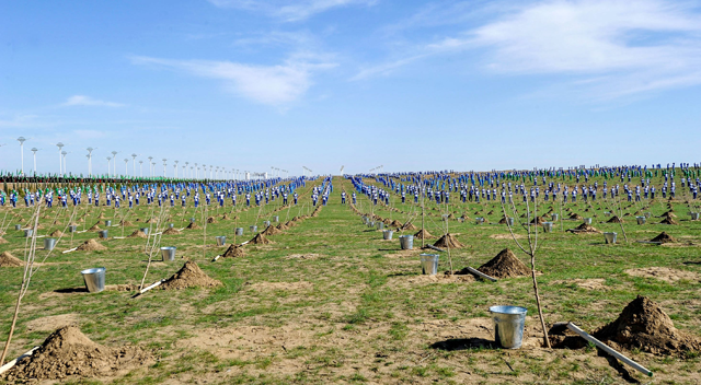 Turkmen citizens take part in a mass tree-planting ceremony marking Nowruz, or the new year, outside Ashgabat on March 21, 2018 (AFP photo)