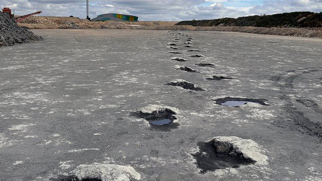 UK's biggest dinosaur footprint site is discovered with hundreds of massive tracks from 166 million years ago (AFP photo)