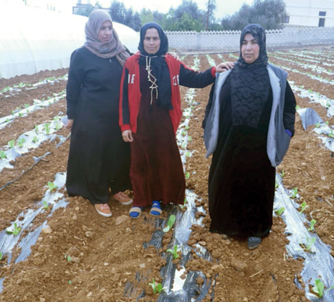 The project will serve Syrians and Jordanians living in the village of Sweilma (Photo courtesy of  FAO)