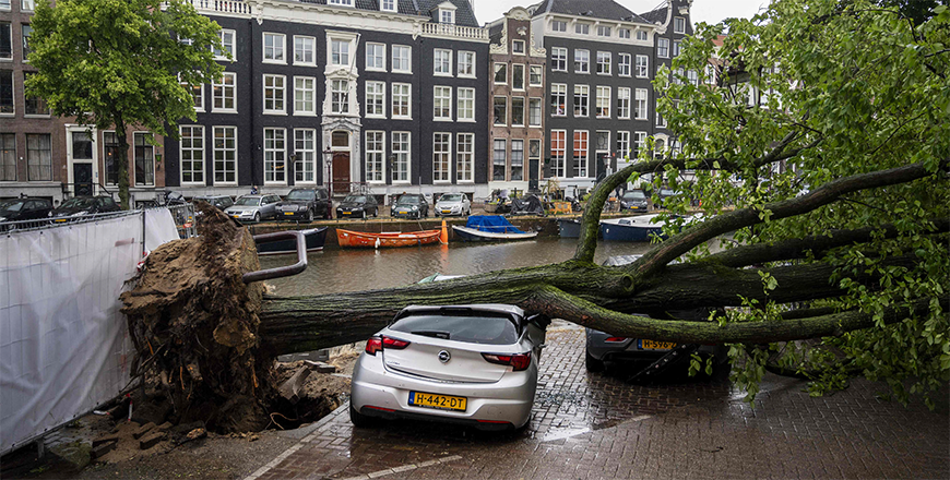 A storm damaged tree lies on a vehicle on the Keizersgracht in the centre of Amsterdam on Wednesday (AFP photo)