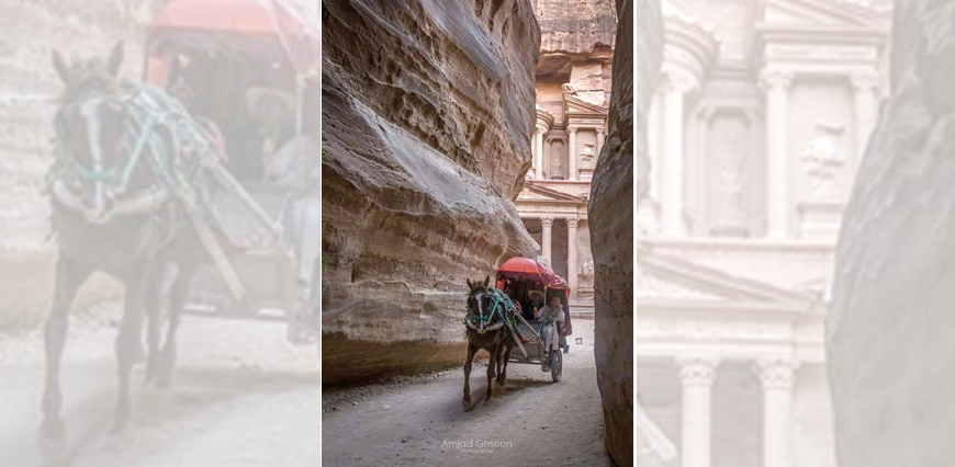 Tourists ride a horse-drawn cart from Petra’s Treasury, the rose-red city’s iconic façade, as they pass through the Siq, a 1.2km-long gorge leading to the Treasury, 235km south of Amman (Photo by Amjad Ghsoun)