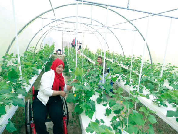   One of the project’s goals is to create employment opportunities in aquaponics and hydroponics for youth and women job seekers, according to the FAO (Photo courtesy of FAO)