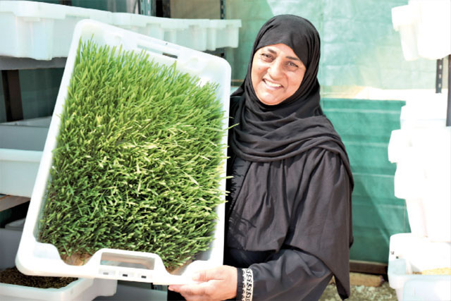 Jordan is one of seven countries where the World Food Programme has introduced its H2Grow project, a soil-less hydroponics technique  (Photo courtesy of WFP)