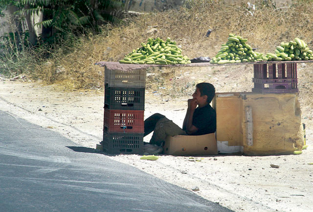 A boy sits in the shade of his vegetable stand on a sunny day in this recent photo (Petra photo)