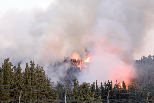 Deliberate wildfires in Jordan are often started by people who destroy part of the forest to come back later for illegal logging, according to the Ministry of Agriculture (Photo by Amjad Ghsoun)