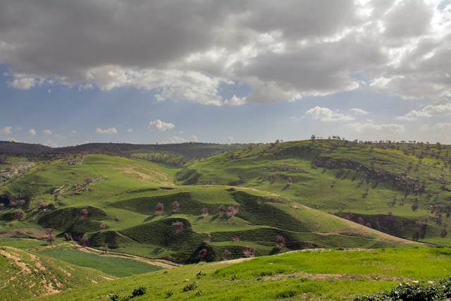 The new law stipulates stricter penalties against polluters and abusers of the environment and links the amount of fines to the impact of the violation, according to the Ministry of Environment (Photo by Amjad Ghsoun)