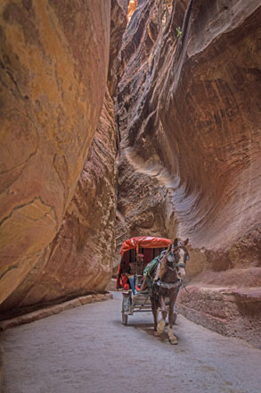 A horse-pulled wagon carrying tourists in Petra’ Siq (natural gorge) recently (Photo by Amjad Ghsoun)