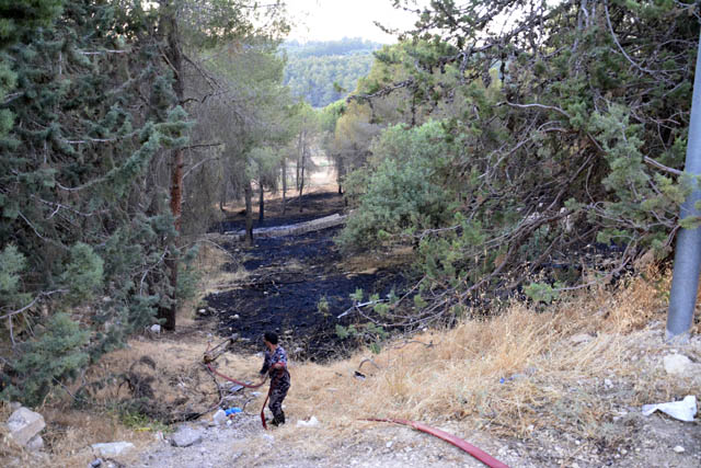 Thirty-five dunnums of forest were destroyed in Saturday’s wild fire in Amman’s western Kamaliyeh neighbourhood (Photo by Amjad Ghsoun)