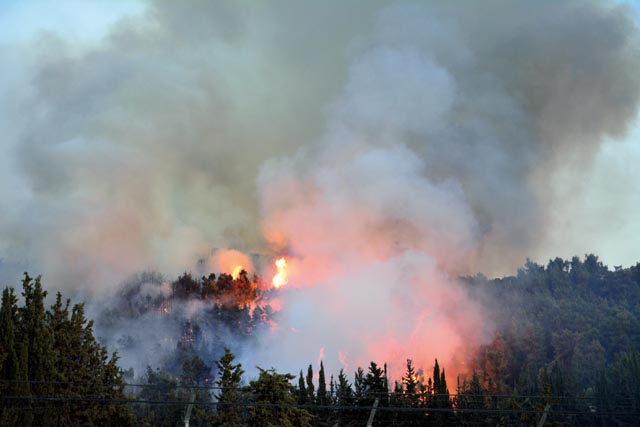 Fire rages through Kamaliyeh, west of Amman, on Saturday  (Photo by Amjad Ghsoun)