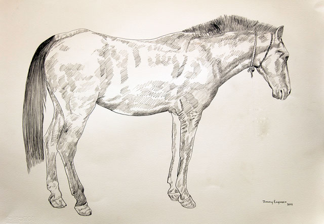  Work by Jimmy Engineer from the ‘Lines That Talk’ exhibition on display at the Jordan National Gallery of Fine Arts through November 25 (Photo courtesy of the Jordan National Gallery of Fine Arts)