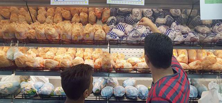 A statement from the Trade Ministry said that a kilogramme of fresh chicken is now being sold for less than JD2 in some markets, while live chicken is sold for less than JD1.65 per kilogramme, meaning that ‘there is no need for a price ceiling’ (File photo)